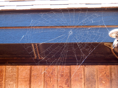 [Spider web attached at one end to a roof eave, another end is attached to a light sticking out from the building, and another piece is attached to something just out of view to the bottom of the image.]